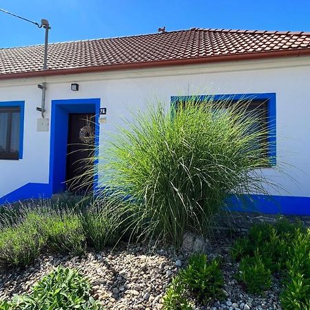 Chalupa Šakvice l Jižní Morava l Pálava Exterior foto