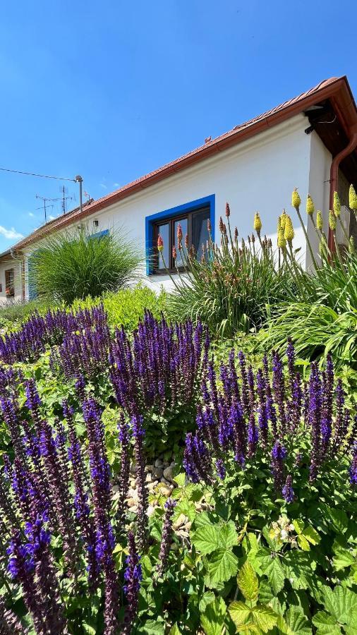 Chalupa Šakvice l Jižní Morava l Pálava Exterior foto