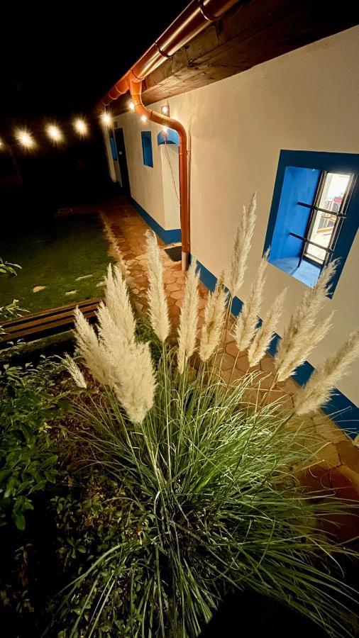 Chalupa Šakvice l Jižní Morava l Pálava Exterior foto